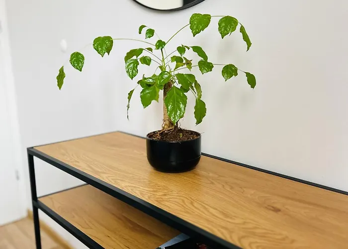 Apartament, Free Parking, Blisko Rynek-dworzec Pkp-pks, Sklepy דירה *