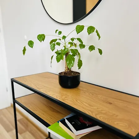 Apartament, Free Parking, Blisko Rynek-dworzec Pkp-pks, Sklepy Apartament *